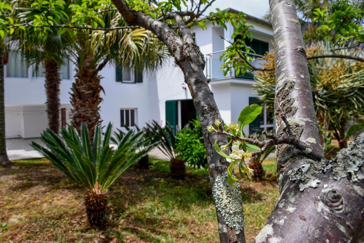 São Vicente Casa Do Cantinho Do Muro מראה חיצוני תמונה